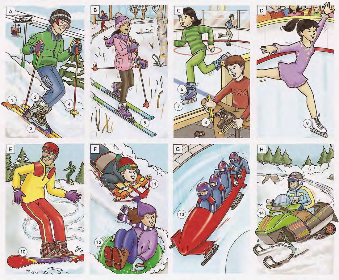 Winter Sports and Recreation