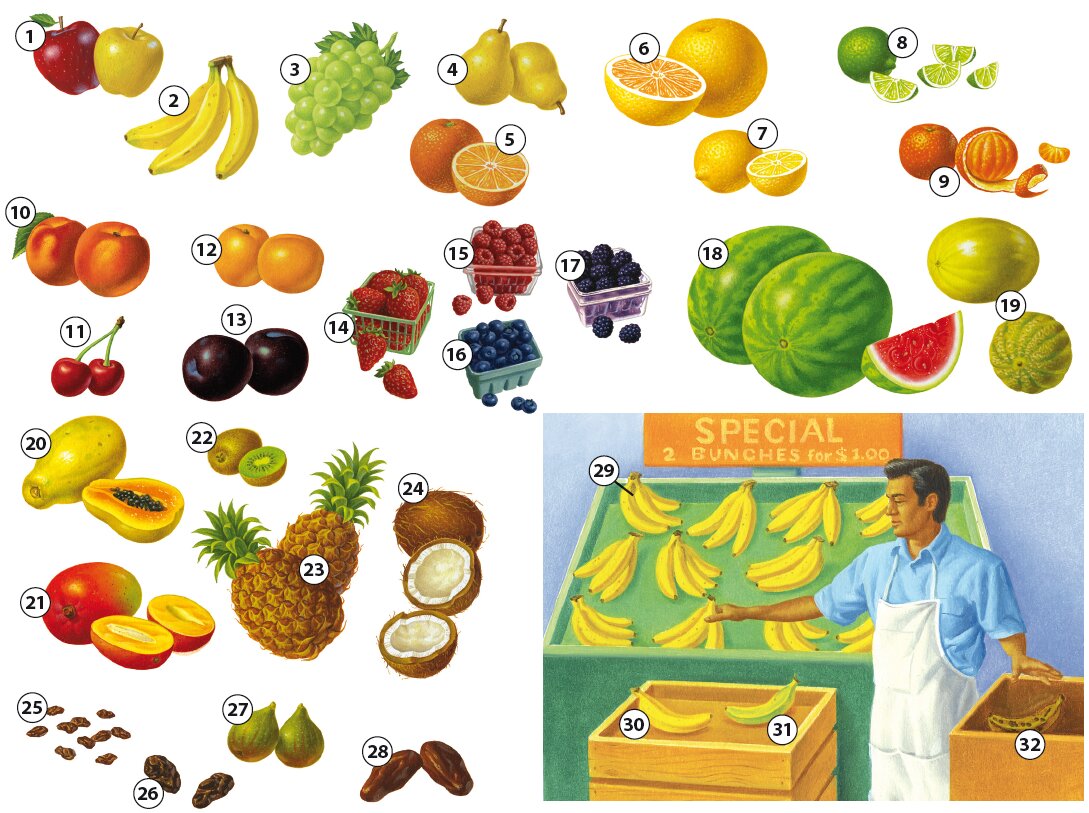 Fruit